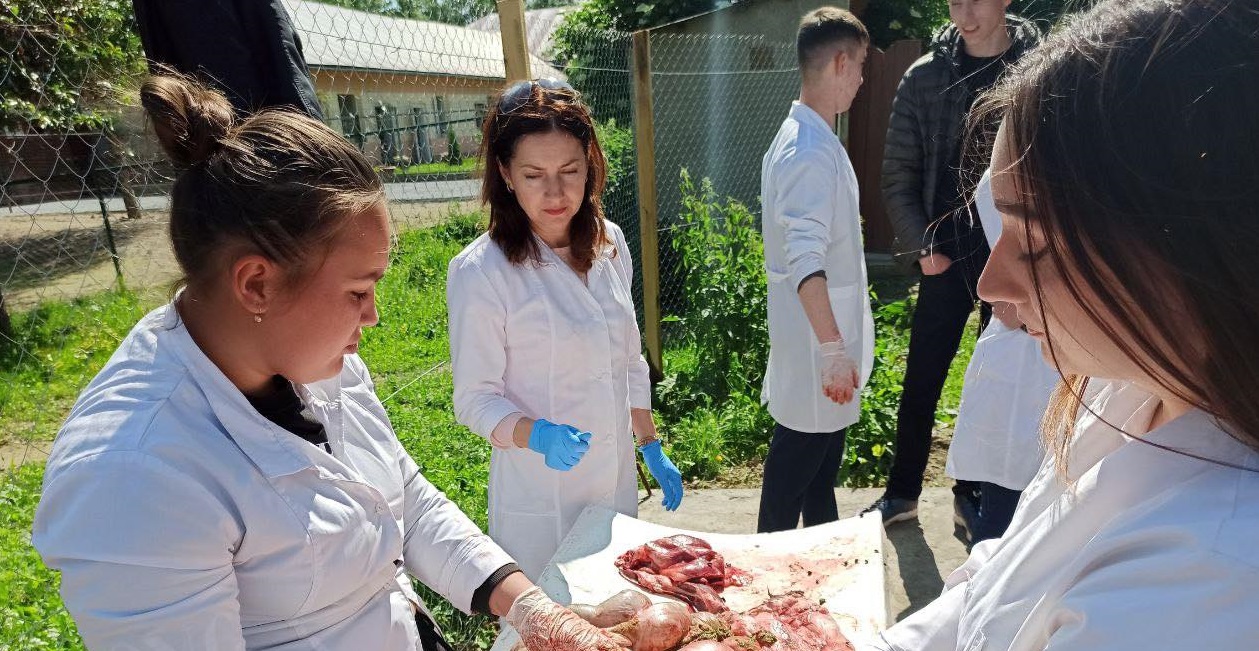 Практичне заняття для майбутніх ветеринарних фахівців